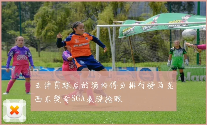 去掉罚球后的场均得分排行榜马克西东契奇SGA表现抢眼