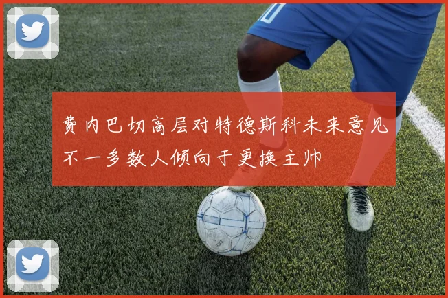 费内巴切高层对特德斯科未来意见不一多数人倾向于更换主帅